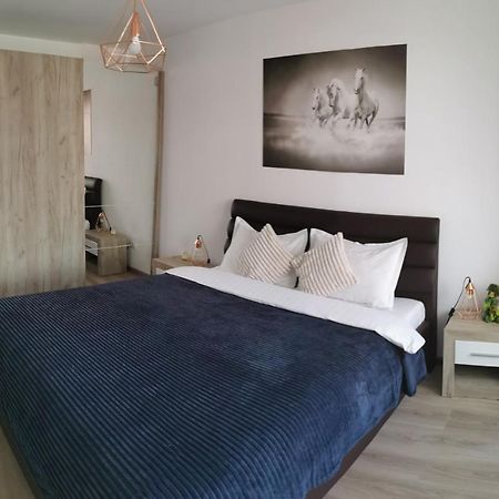 Marimonti Apartment Brassó Kültér fotó